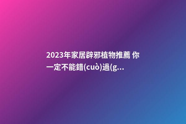 2023年家居辟邪植物推薦 你一定不能錯(cuò)過(guò)